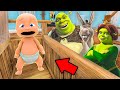 Baby and SHREK FAMILY Play Hide and Seek!