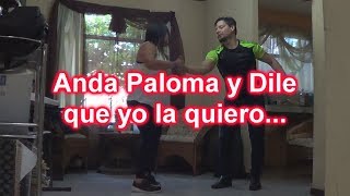 Paloma - Cumbia Swing Criolllo (Baile)