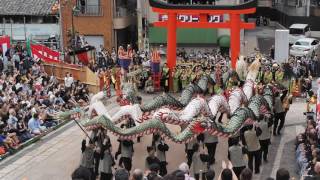 長崎くんち 筑後町龍踊り　平成28年10月8日　八坂神社