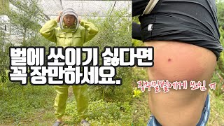 벌초 필수템 말벌 땡벌 다 덤벼!! 방충복 보호복 | 알리익스프레스 직구