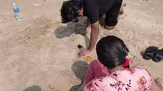 Wayari Beach Tarkarli, Aarya