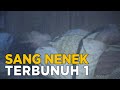 Demi harta tega menghabisi nyawa | JELANG SIANG