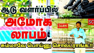 #psfarmers#aduvalarppu#production ஆடுவளர்ப்பதை சுற்றி நடக்கும் மோசடி சொல்வதெல்லாம்பொய் நம்பிஏமாற்றம்