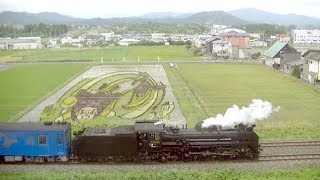 SL銀河(回送) 八幡田んぼアート 回8533D 2018.6.17 (岩手県花巻市)