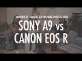 Sony A9 vs Canon EOS R | Wedding Photography