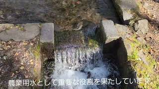 三分一湧水　八ヶ岳南麓高原湧水群　日本名水百選　山梨県　北斗市　大泉町　先人の知恵　平和的解決方法