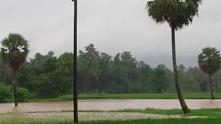 Vandazhy River Flood