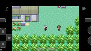 POKEMON EMERALD HOW TO FIND PROF. BIRCH!?