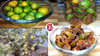 How to make Chinese orange pickle | नारगी का आचार