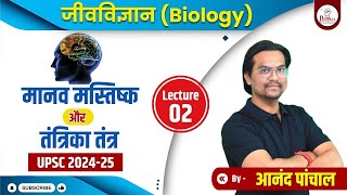 मानव मस्तिष्क तंत्रिका तंत्र | Biology|  L - 2 | UPSC CSE 2024-2025 | by Anand Panchal |