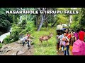 Driving through Nagarahole Tiger Reserve to Irrupu Waterfalls | Travel Couple with Toddler