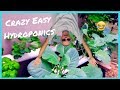 Crazy Easy Hydroponics / Be Unique / Easy DIY hydroponics