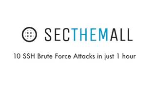 10 SSH Brute Force attacks in just 1 hour