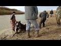 Спасение Лошади из ПУЧИНЫ. Казахстан amazing horse rescue gggkaiser