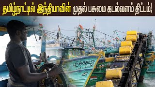 மீனவர்களின் வாழ்வாதாரத்தை உறுதி செய்யும் தமிழ்நாடு அரசு🌊| Fisheries🐟| Green Sea💚 | Ellarukkum Ellam