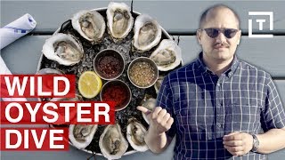 Long Island Has NY's Freshest Oysters || Food/Groups