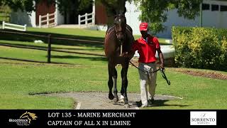 Lot 135