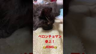 我が名はペロンちょまん！