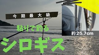 １ヶ月ぶりのキス釣りは苦難の連続 〜今期最大サイズ出ました〜 宮崎県　投げ釣り　2022.05.27