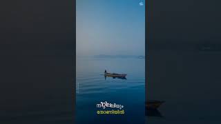 കാറ്റ് വീഴ്ത്തും പൂമരം | FIRDOUSE KALIYARKODE HEART TOUCHING STATUS SONG