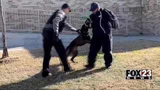 Video: Bartlesville Police given new ‘bite suit’ to train K9 unit