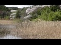 桜の名所（京都丹波亀岡・七谷川／南郷公園／平の沢池）／木村富男