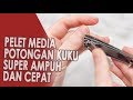 Pelet Media Potongan Kuku Ampuh Dan Super Cepat