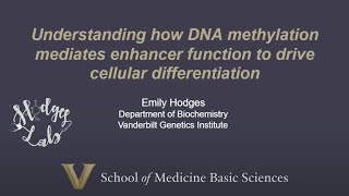 PART 2: Utilizing the 6-base genome to investigate the dynamics of enhancer DNA methylation...