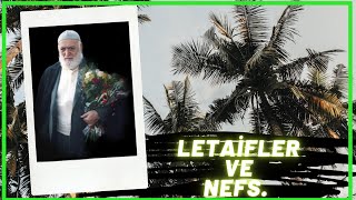 Letaifler ve nefs. / Mehmet ıldırar (yarbay)