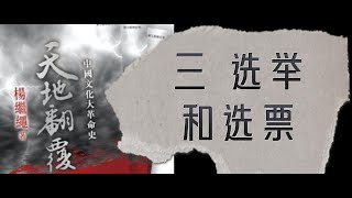 112 杨继绳《天地翻覆》·第二十一章·九大：从团结到分裂的大会