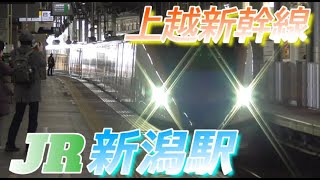 【新潟駅】お昼過ぎの上越新幹線を見ながらホームを散策　2023/3/19