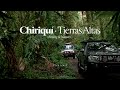 Birding & Nature Tours in Panama ·  Tamandúa · Chiriquí, Tierras Altas