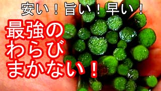 わらびでまかない　簡単　安い　早い　旨い　4拍子揃ってます。