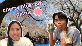 Japanese picnic (hanami) under the cherry blossoms at the Shizuoka Festival 2023 (静岡祭り)