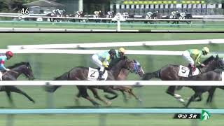 2022/09/25　スマラグドス　新馬戦