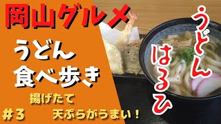 【岡山グルメ】うどん食べ歩き〜うどん　はるひ〜「揚げたて天ぷら」