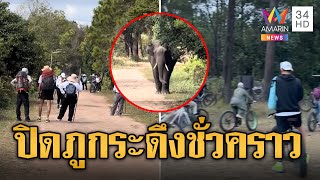 สั่งปิดภูกระดึงชั่วคราว หลังช้างป่าออกไล่กระทืบนักท่องเที่ยว | ข่าวอรุณอมรินทร์ | 14/12/67