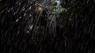 นอนห้างในป่าลึก! โดนฝนถล่มลงหนักเกือบไม่รอด!ค่ำคืนสุดหนาวเย็น