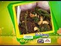 Fish Masala Fry | Abhiruchi | 5th June 2017 | ETV Telugu