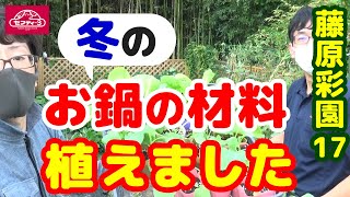 【藤原彩園 再生プロジェクト】第17弾!!家庭菜園に冬のお鍋の材料を植えました！