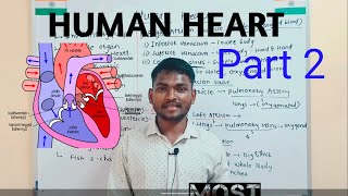 Human Heart (मानवी हृदय) Part 2