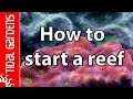 5 Tips on How to Start a Saltwater Reef Aquarium