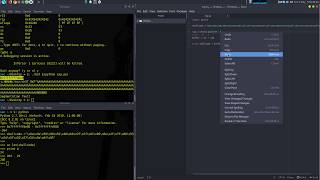 Binary Exploitation: Buffer Overflow x64 Without ASLR
