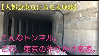 【こんなところに未成線】東京編　～大都会東京にある廃墟と化した未成線～