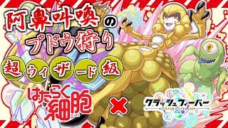 【はたらく細胞×クラッシュフィーバー】ほーほほほほ♪やっておしまい!!阿鼻叫喚のブドウ狩り《超ウィザード級》 #324