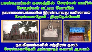 சேரன்மகாதேவி அம்மநாதர் சுவாமி திருக்கோவில் / சேரன்மாதேவி / Cheranmahadevi Ammainathar Temple Tirunel