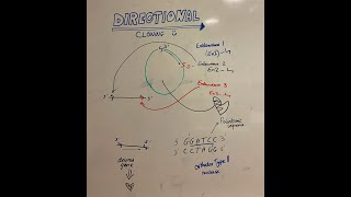 DIRECTIONAL CLONING