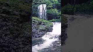 Mani Forest Waterfall | मानी धबधबा | Bhudhargad, kolhapur  #viral #shortvideo