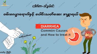 ဝမ်းလျှောရောဂါနှင့် ( Glyphosate ) ပေါင်းသတ်ဆေး၊ ပိုးသတ်ဆေး အန္တာရယ် - ဒေါက်တာခင်နွယ်ဝင်း