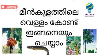 Fish pond water can also be used in this way[]മീൻ കുളത്തിലെ വെള്ളം ഇങ്ങനെയും ഉപയോഗിക്കാം